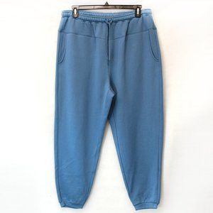 Madewell Plus Size Blue Betterterry Pockets Joggers Sweatpants Pants 3X